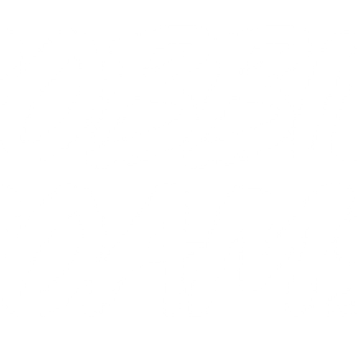 Robbie Roams - No Fuss Travel Videos Blogs & Tips logo