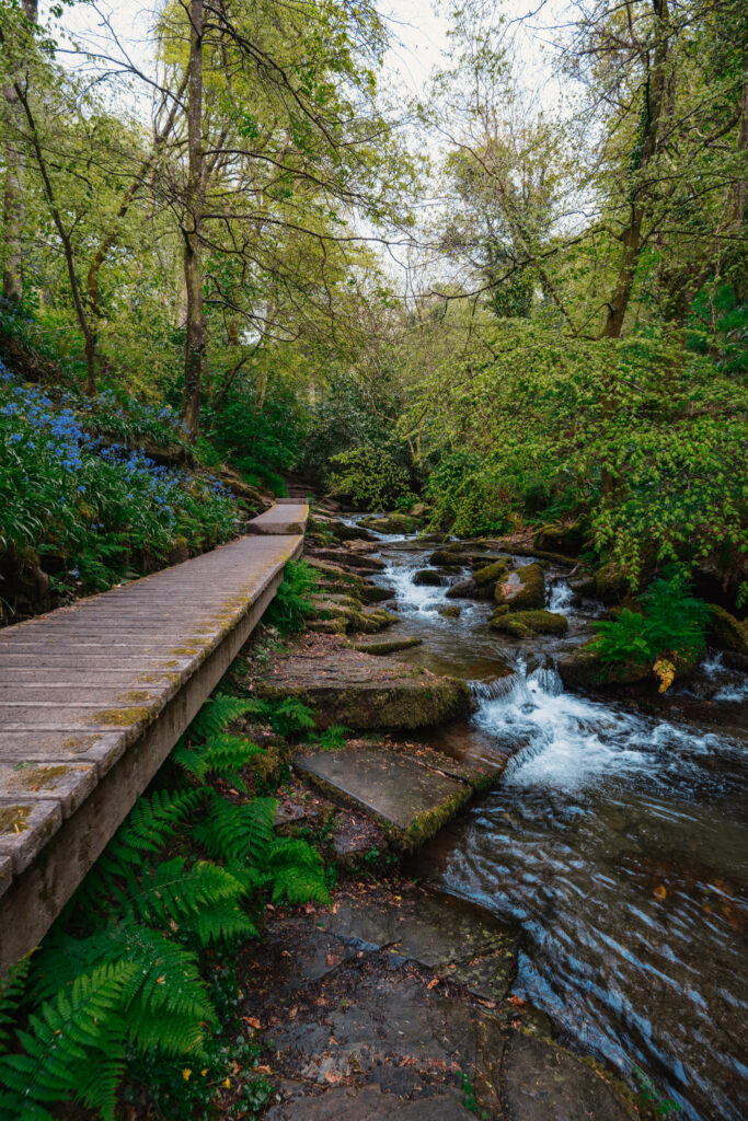 South West Guide Book Cornwall Devon Dorset by Robbie Roams