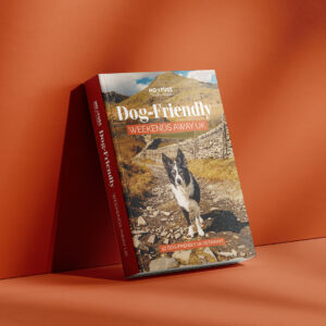 DOG FRIENDLY WEEKENDS GUIDE BOOK