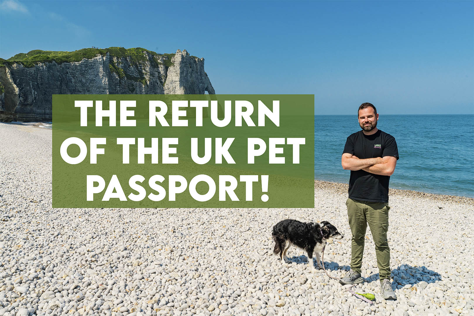 UK Pet Passport Returns