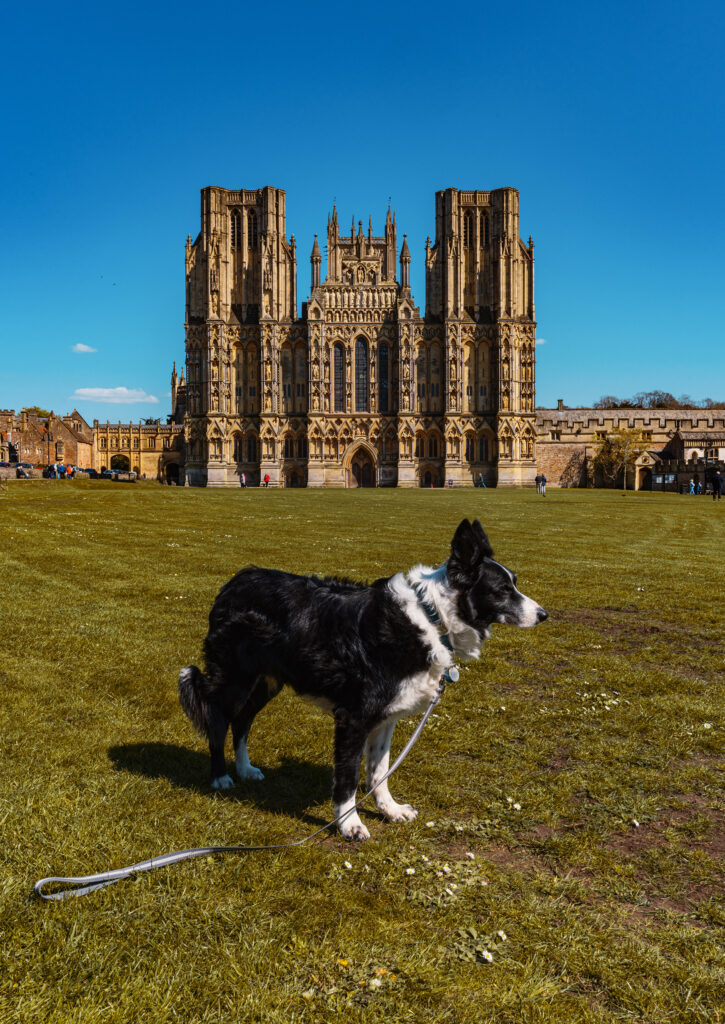 Wells Cathedral
